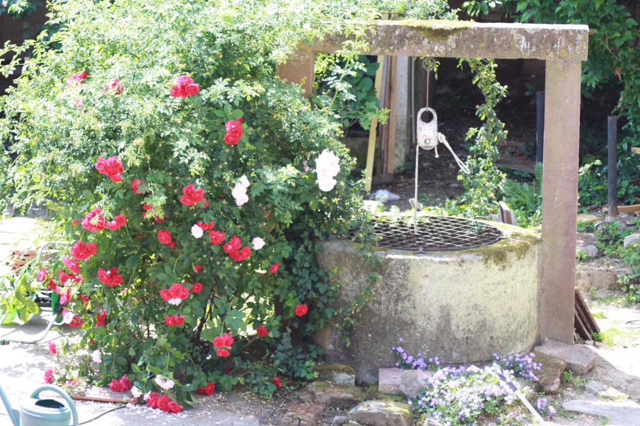 La Grange Aux Coqs Bed & Breakfast Ittenheim ภายนอก รูปภาพ